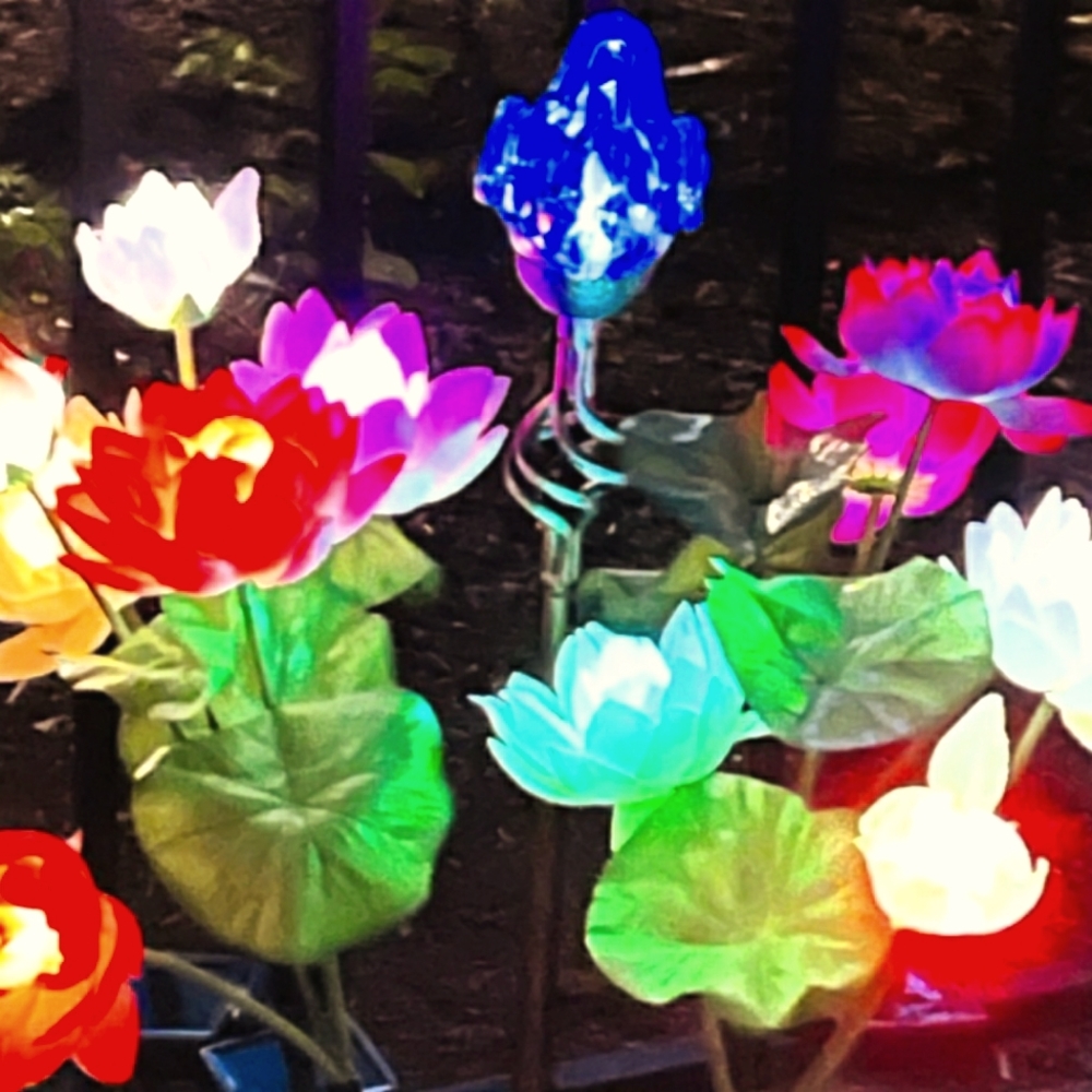 Solar color changing flower lights